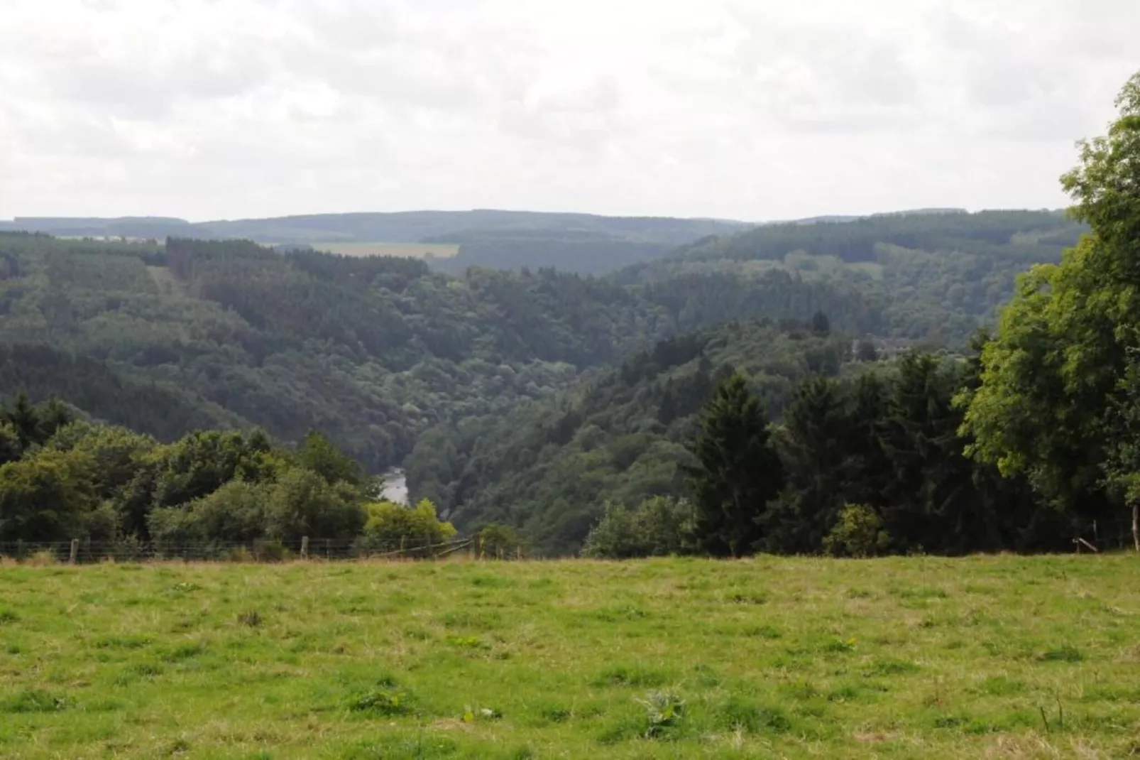 Petit Wilogne-Gebieden zomer 20km
