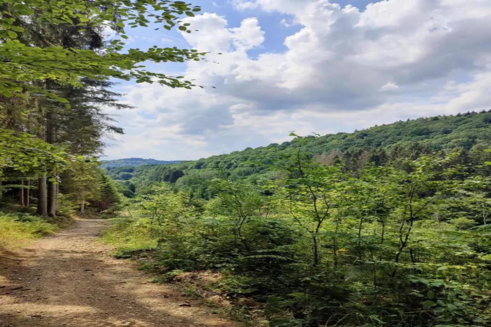 Camping Petite Suisse 1-Gebieden zomer 5km