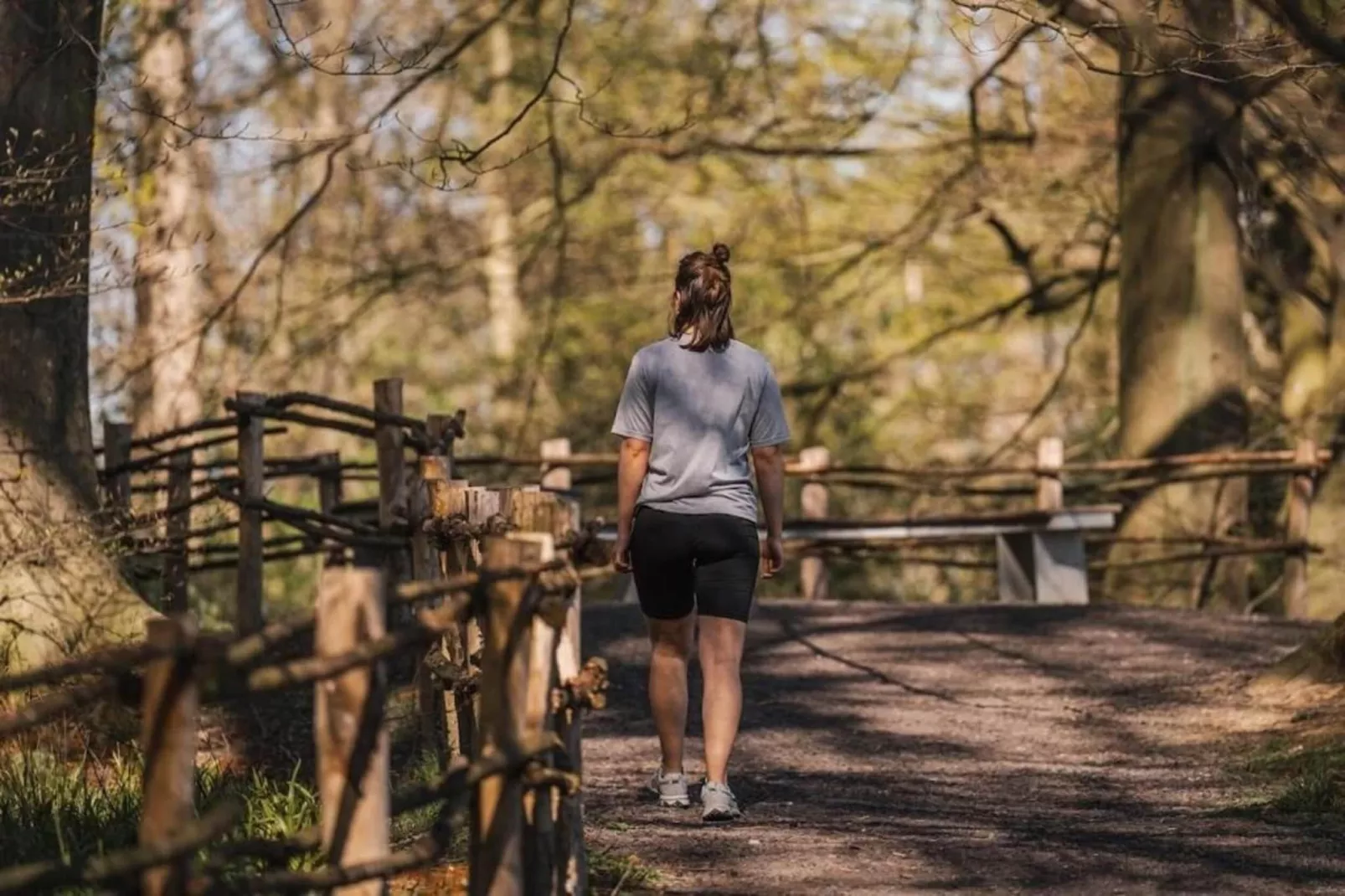 Sylvies lodge-Gebieden zomer 20km