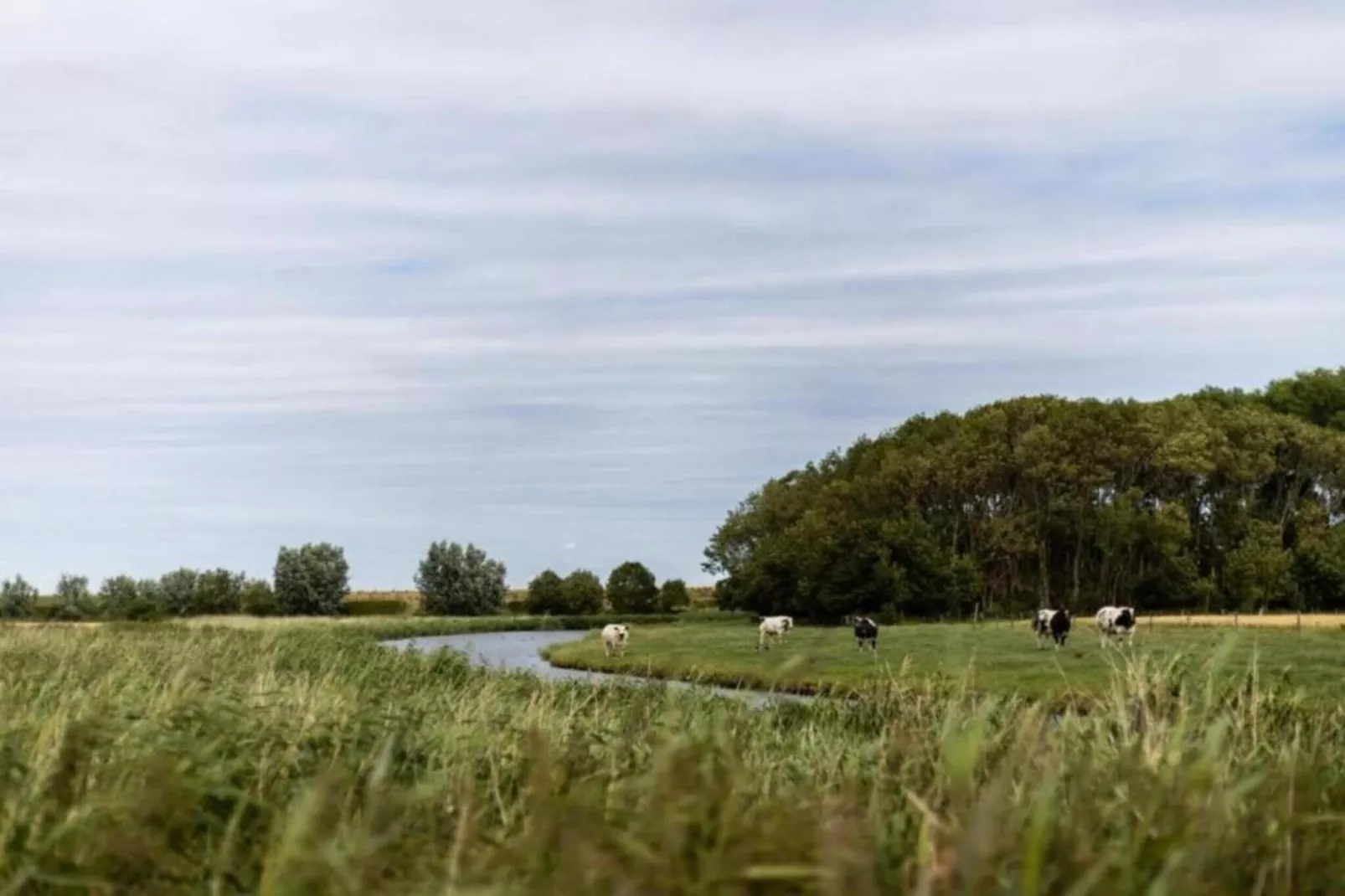 't Margrietje1-Gebieden zomer 20km