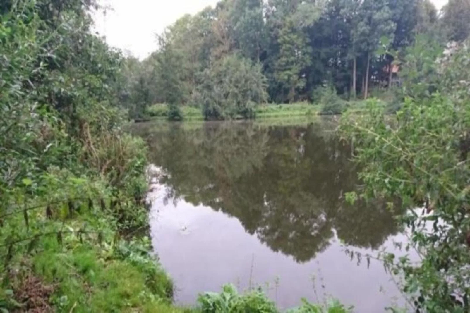 Ferienwohnung mit großem Garten-Gebieden zomer 20km