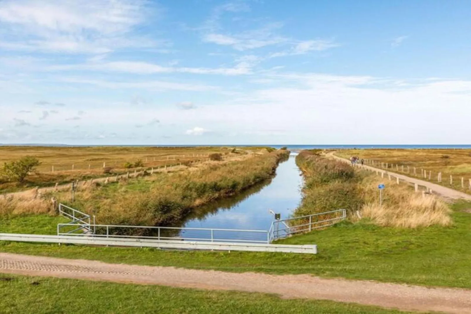 Reetdach 4 Linden-Gebieden zomer 20km