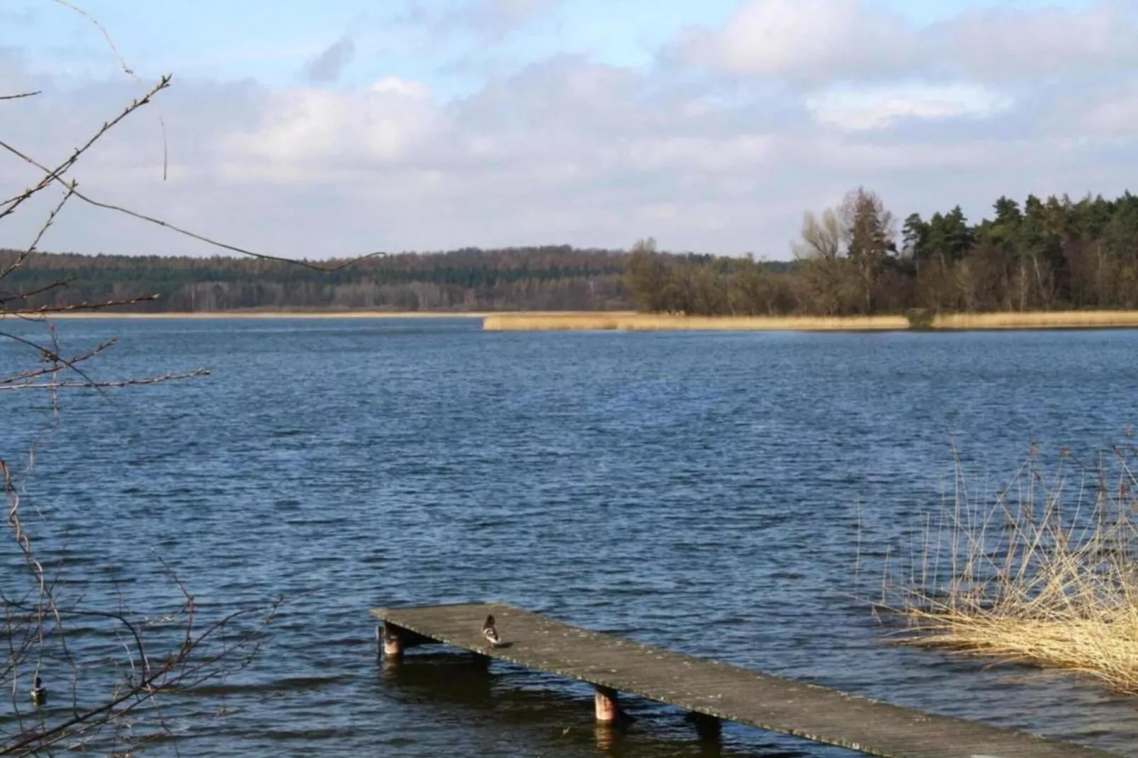 Hundefreundliches Ferienhaus am See MIT Whirlpool-Gebieden zomer 20km