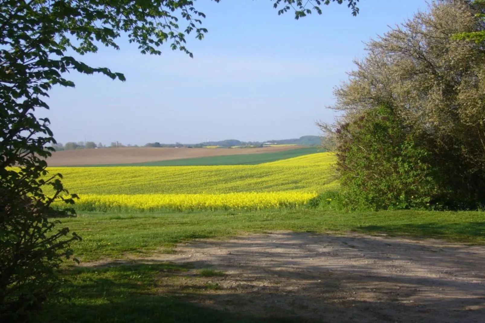 Gartenblick bei Gerdshagen-Gebieden zomer 20km
