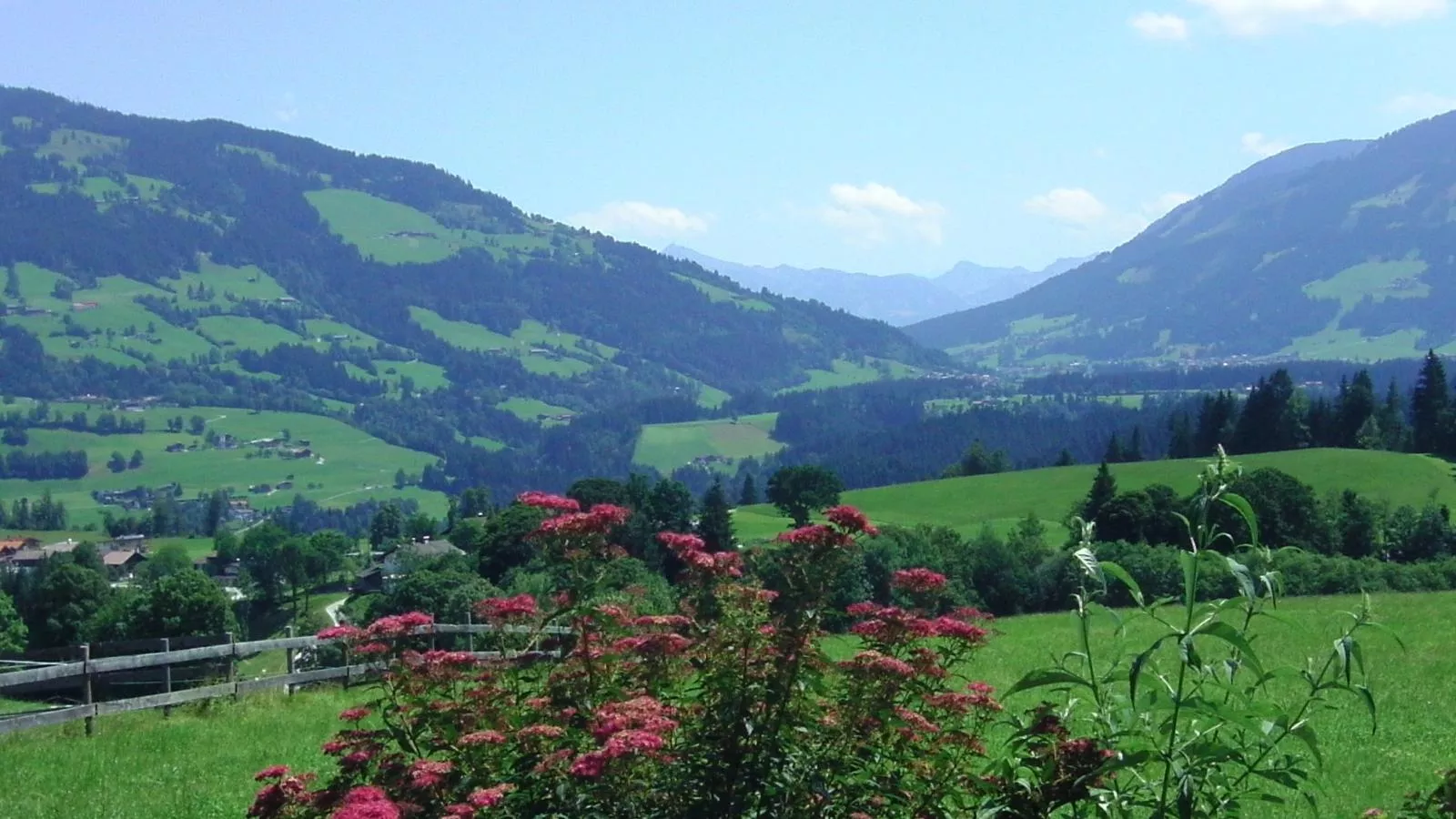 Blick ins Brixental-Uitzicht zomer