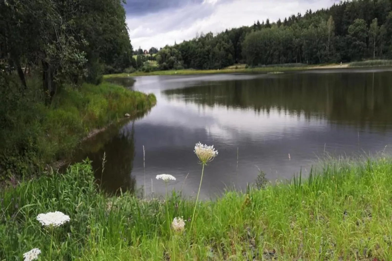 Friedrichshöhe-Gebieden zomer 5km