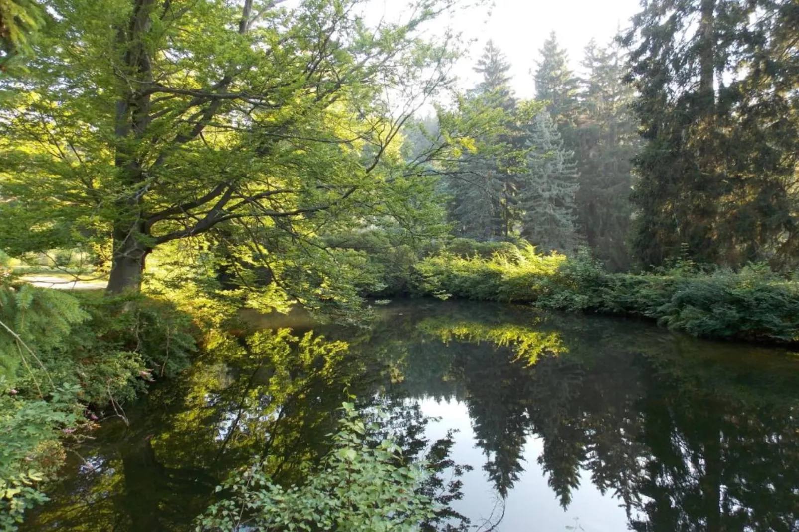Ferienhaus Sonnenland-Gebieden zomer 20km