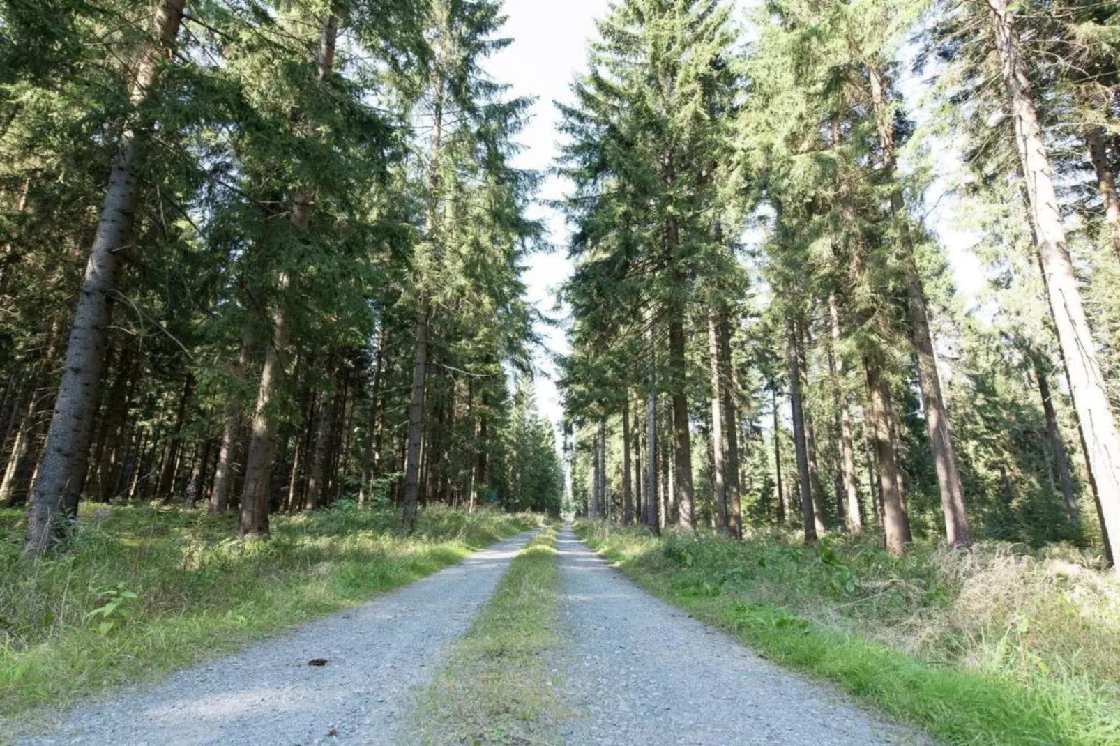 Im Erzgebirge-Gebieden zomer 20km