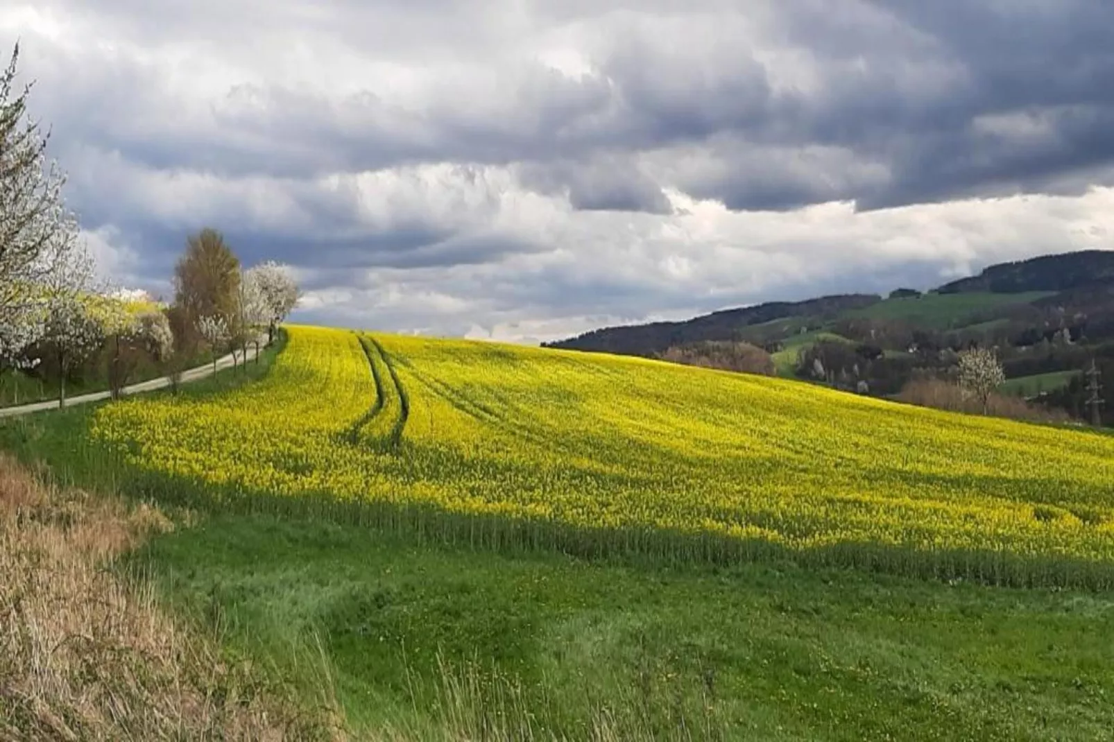 Im Erzgebirge-Gebieden zomer 20km