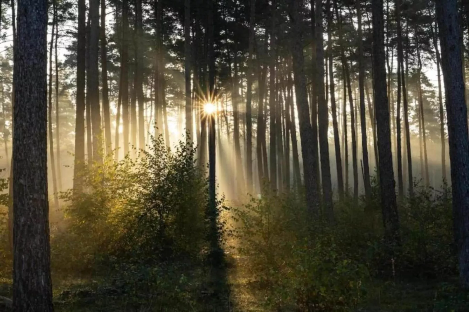 Feriendorf Natur pur 2-Gebieden zomer 20km