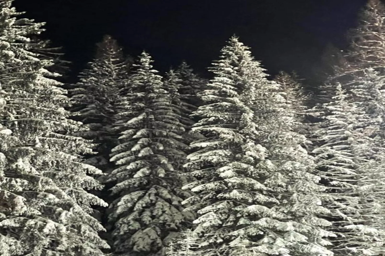Willingen-Gebied winter 20km