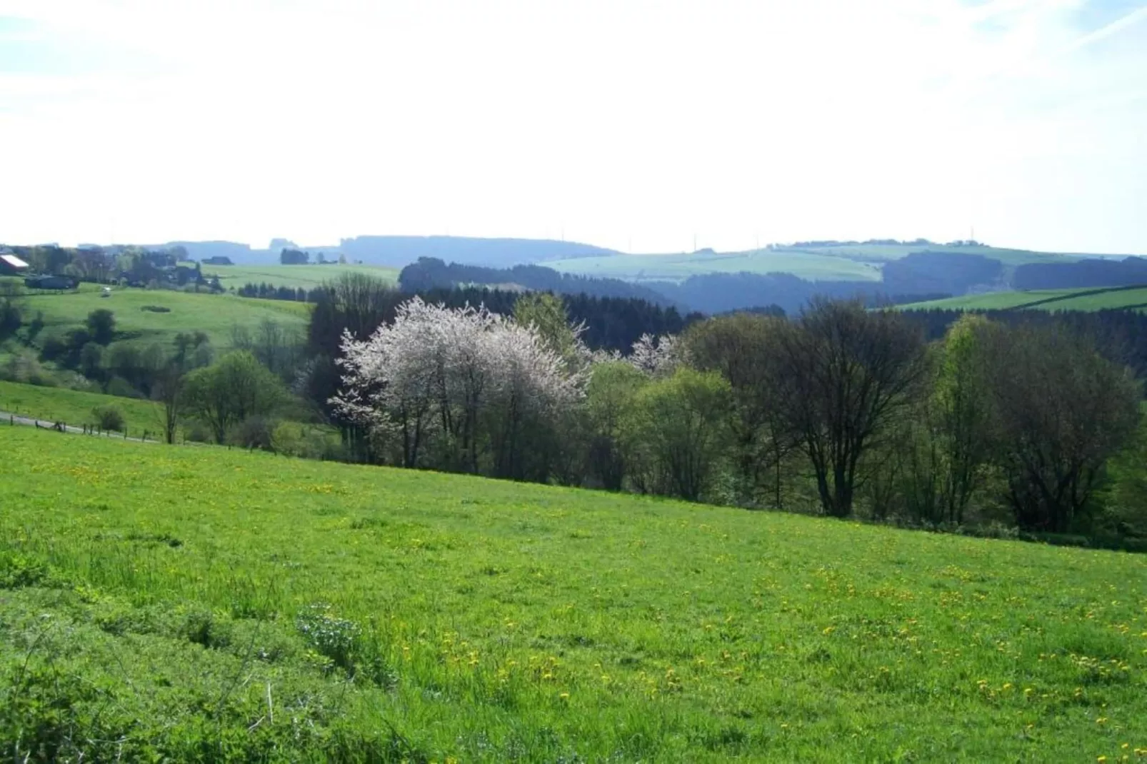 Am Grünen Wald-Gebieden zomer 20km