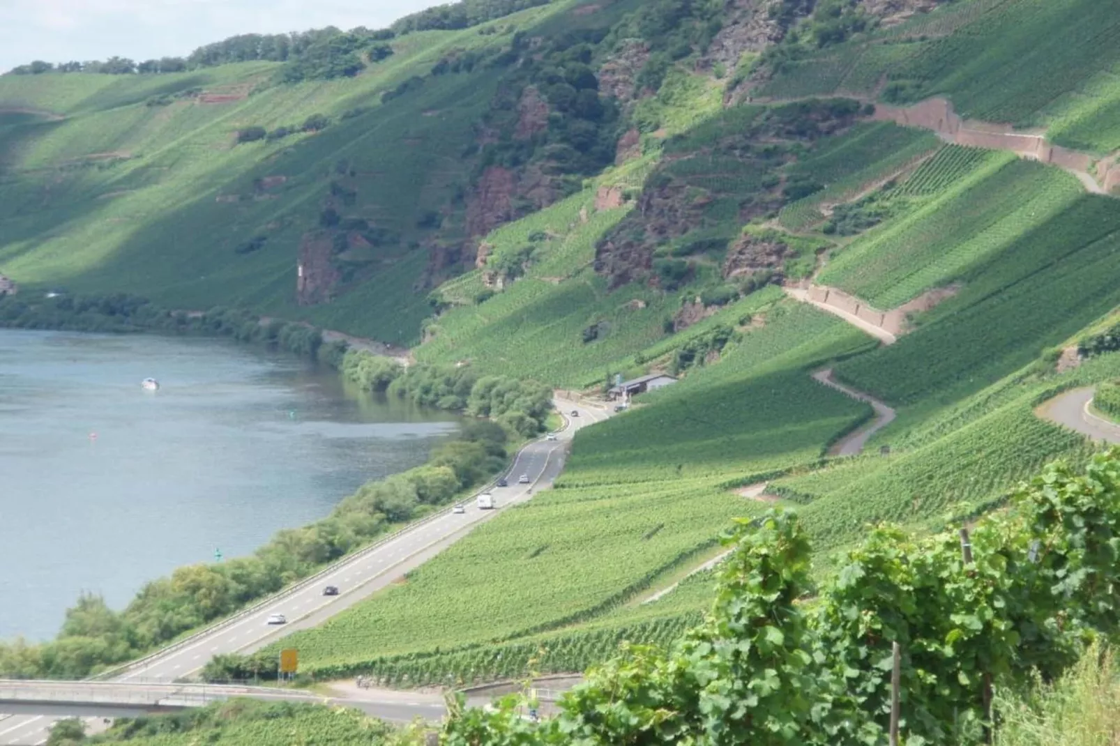 Weingut Justen-Kiebel-Gebieden zomer 20km