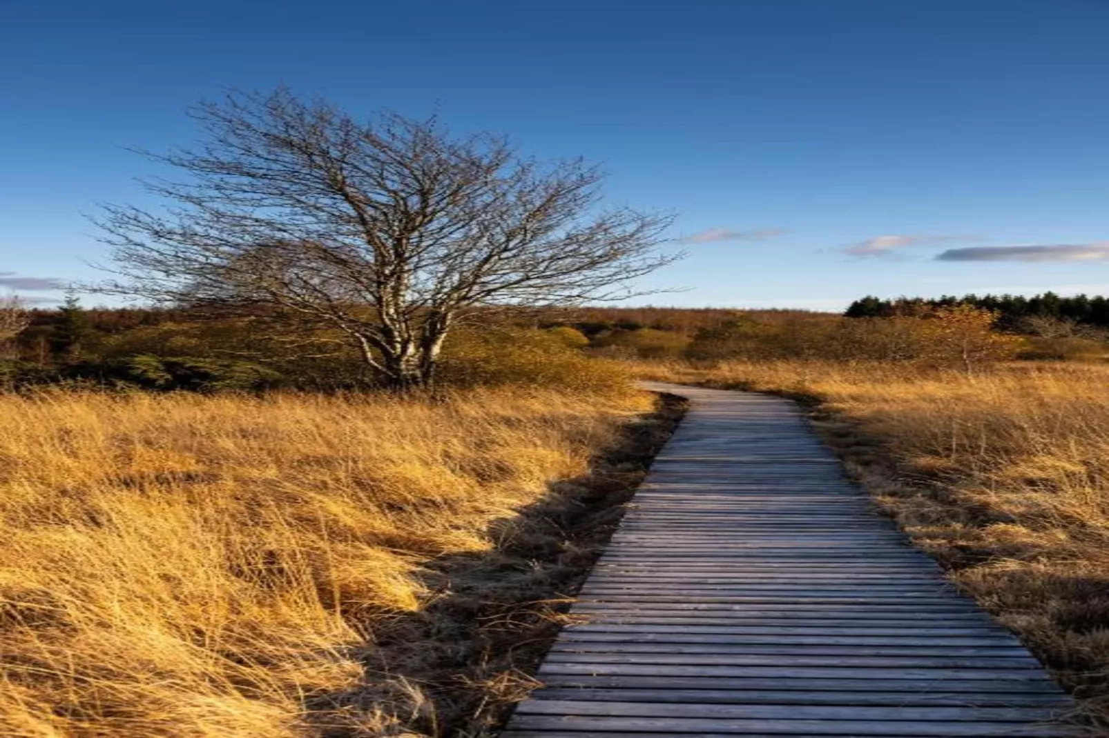 Feinen-Steils-Gebieden zomer 20km