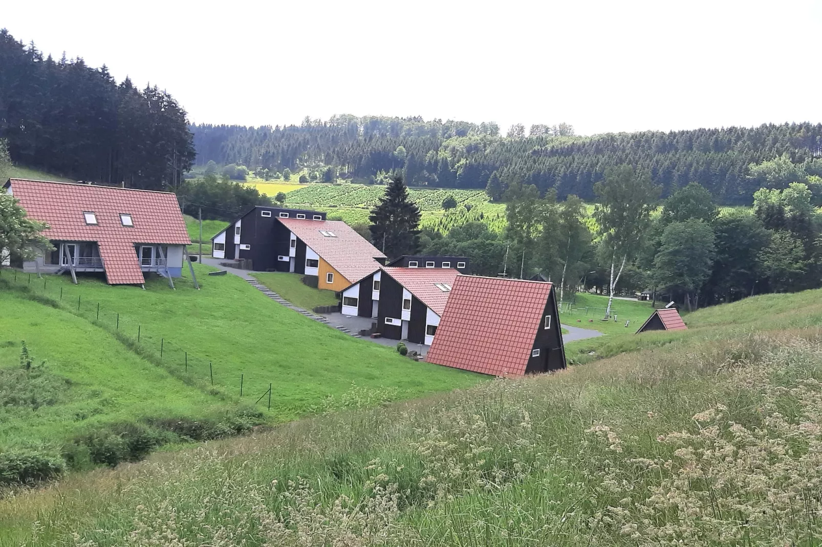 Dachsbau-Buitenkant zomer