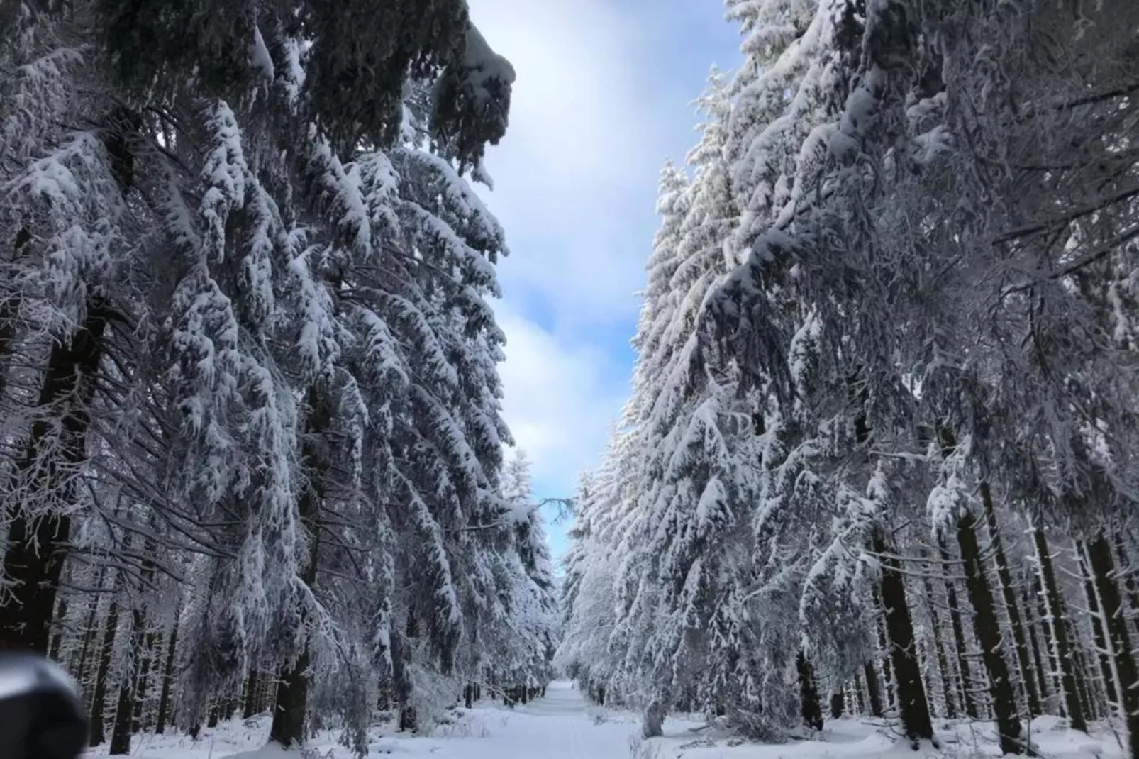 Küstelberg-Gebied winter 20km