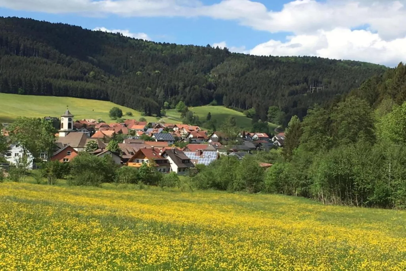 Schwarzwald - Gummenstein-Gebieden zomer 20km