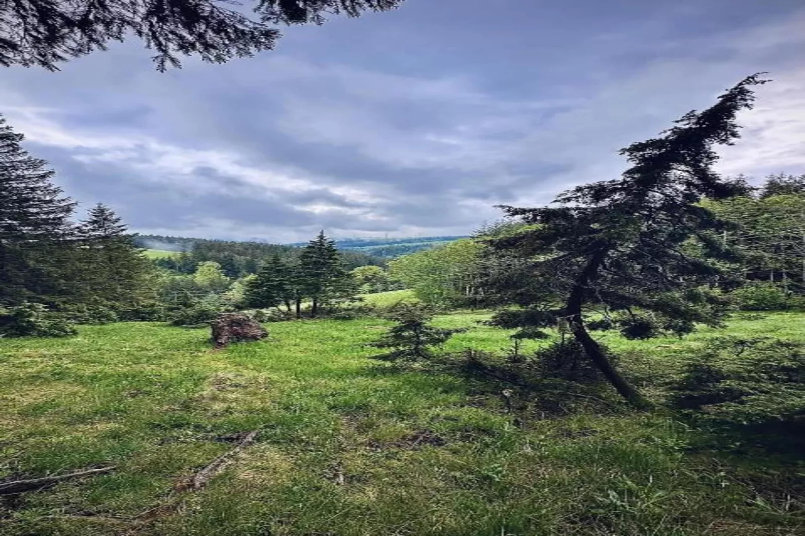 Gütenbach-Gebieden zomer 20km