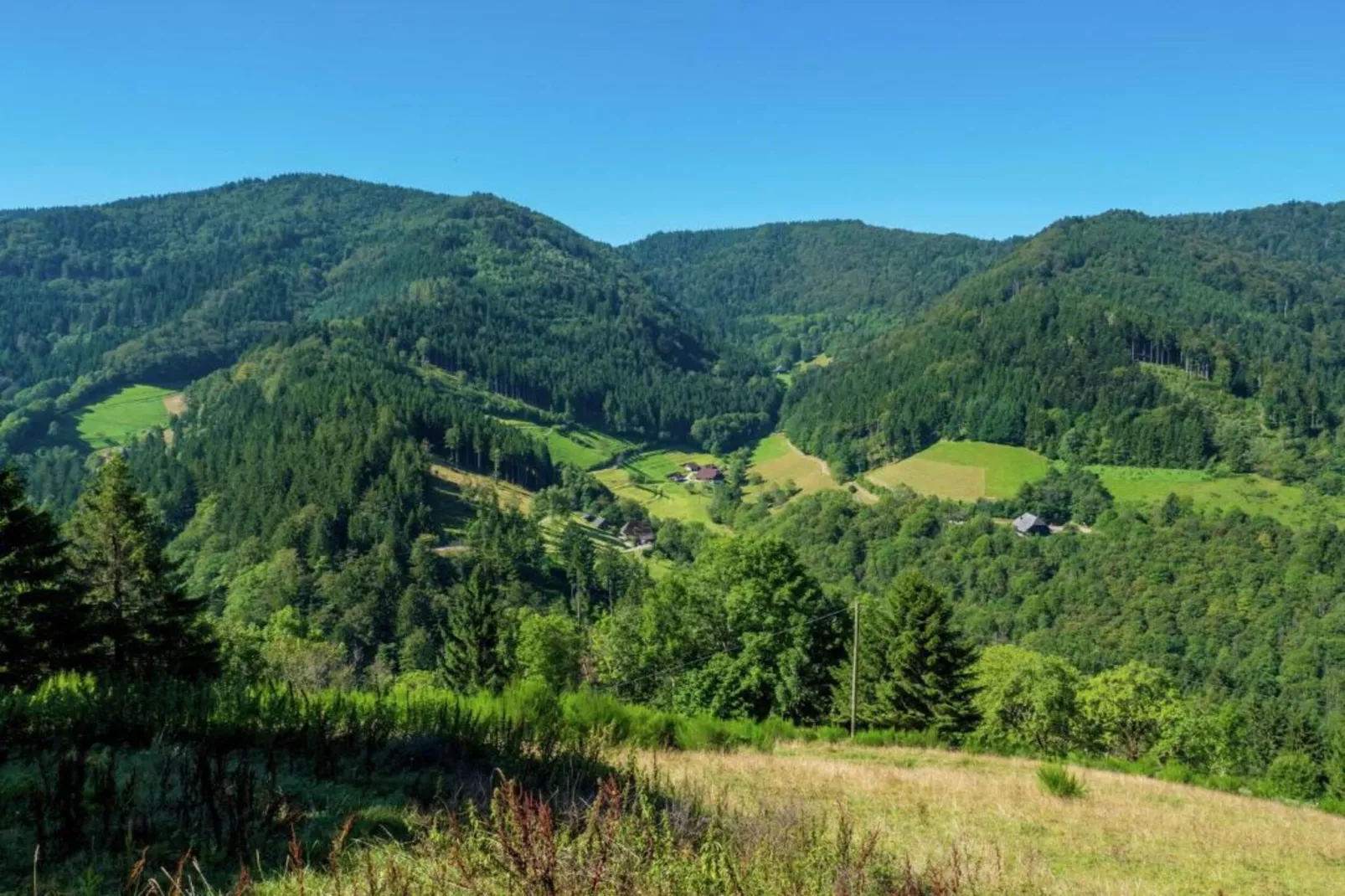 Neukirch-Gebieden zomer 20km