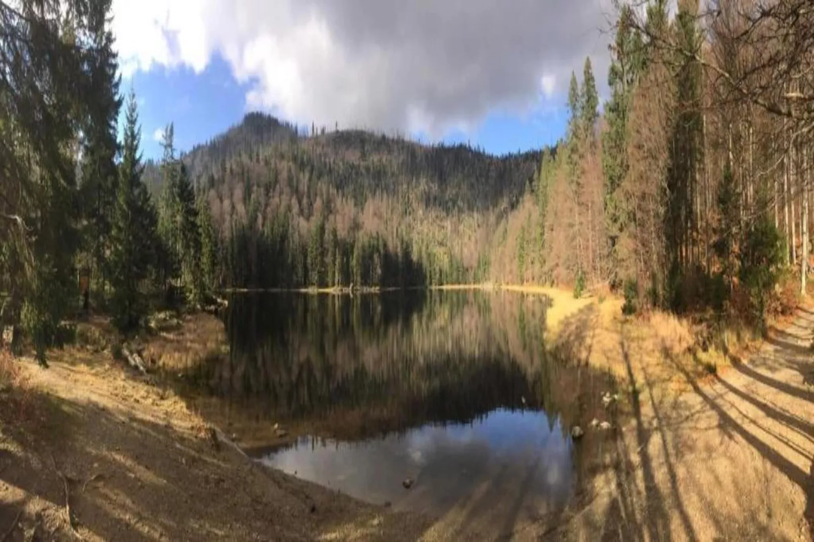 Im Bayerischen Wald-Gebieden zomer 20km