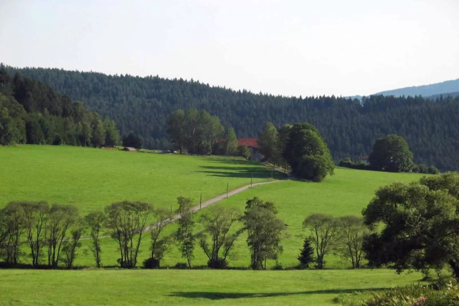 Waldferien-Gebieden zomer 20km