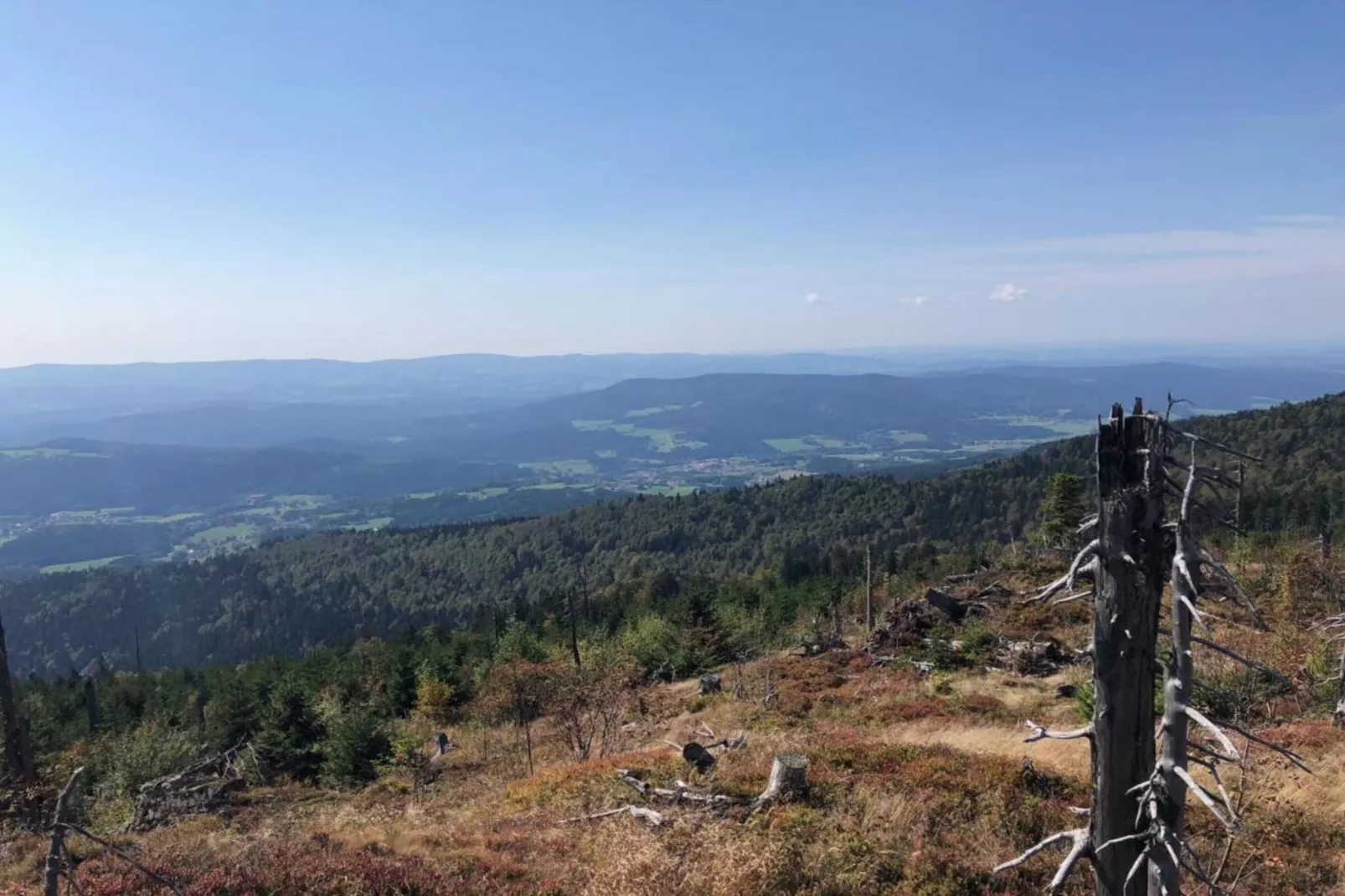 Finkenstube-Gebieden zomer 20km
