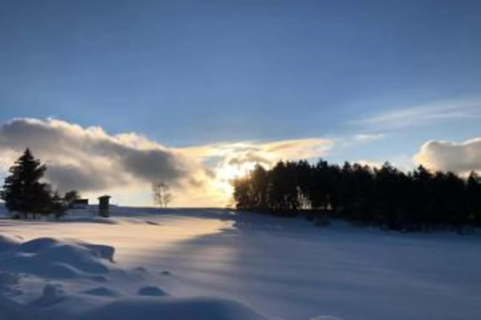 Sonnenwald-Gebied winter 20km