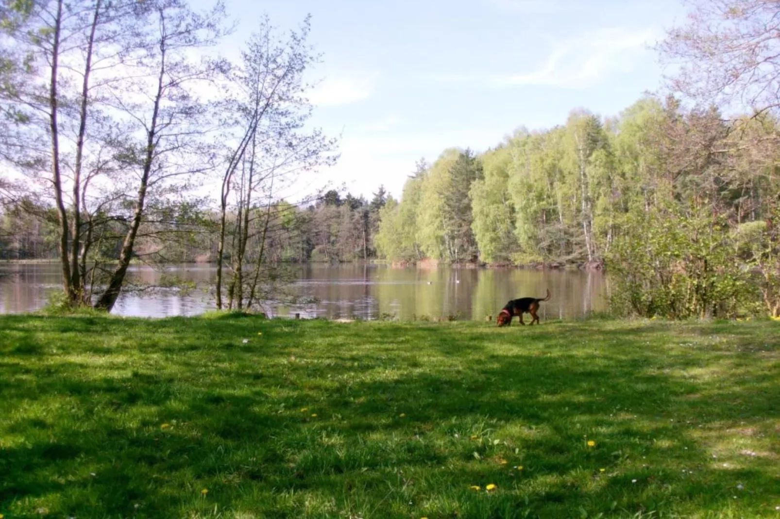 Gehren-Gebieden zomer 5km