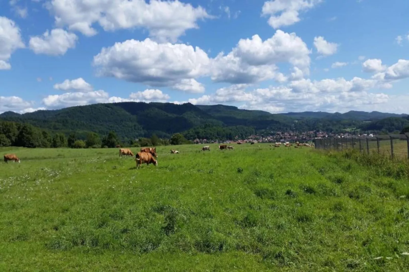 Neustadt 1-Gebieden zomer 5km