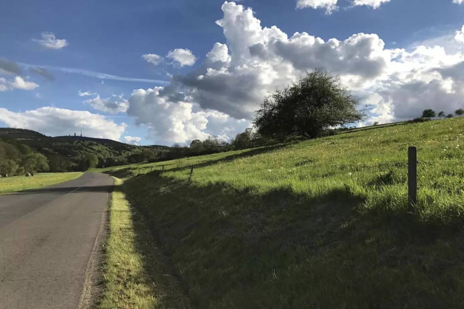 Naturstammhaus-Gebieden zomer 20km