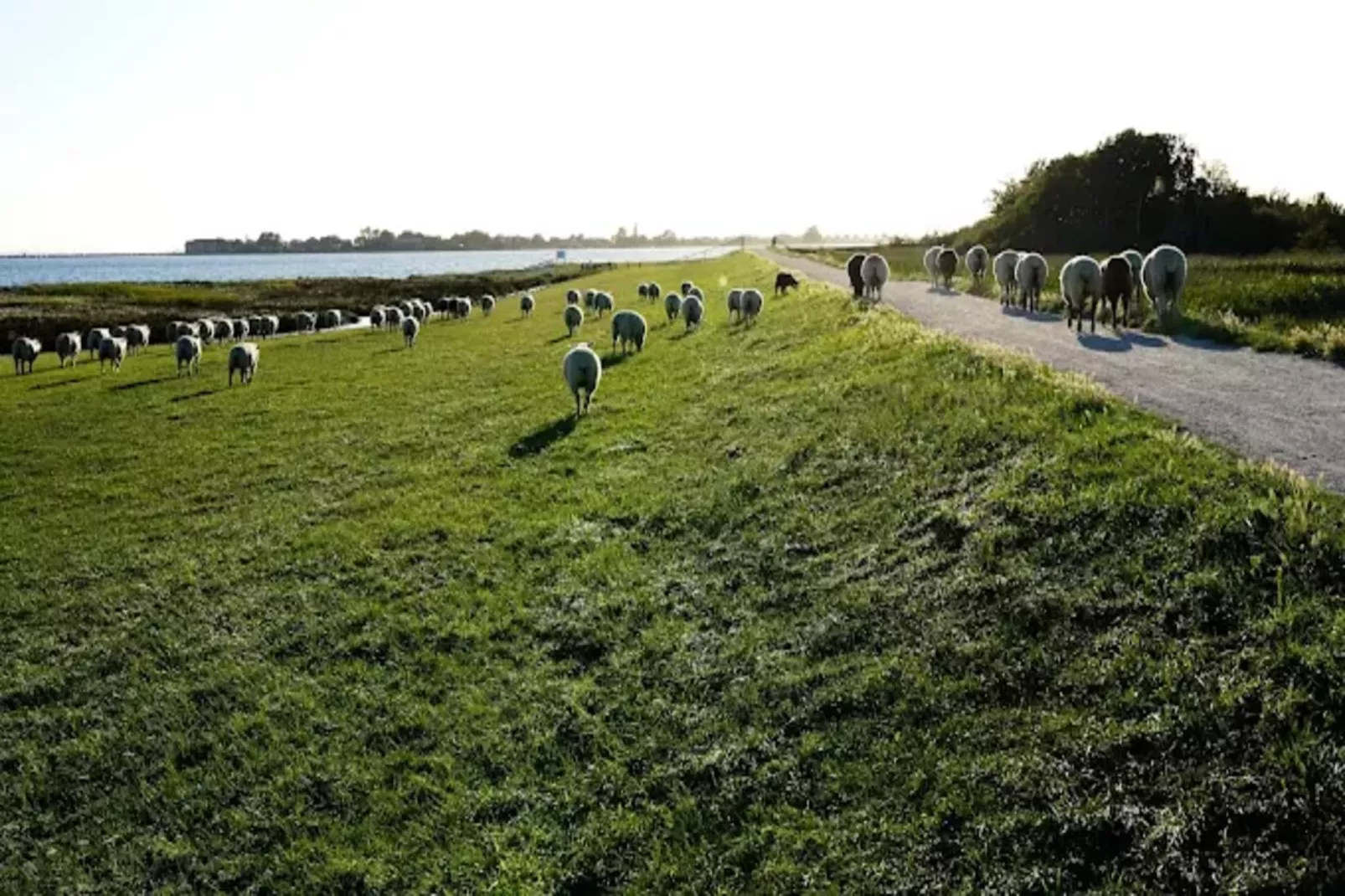 Wohnung A 3 1-2 Personen-Gebieden zomer 5km