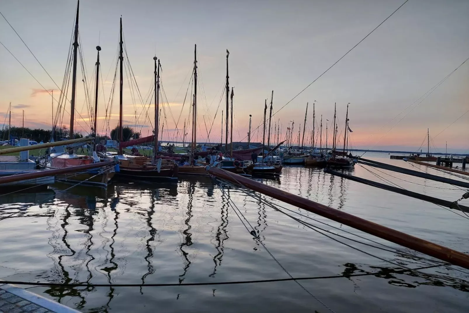 Schilfrohrsänger 51-Gebieden zomer 1km