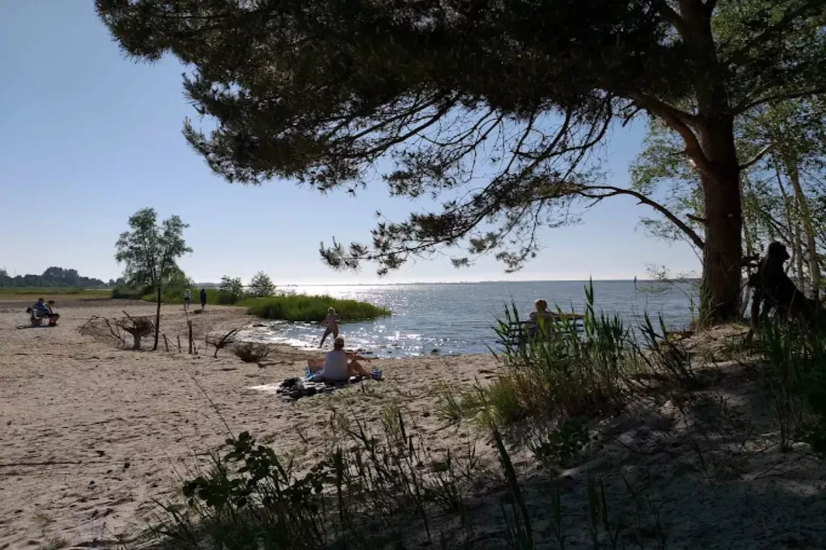 Haubenlerche 14-Gebieden zomer 5km