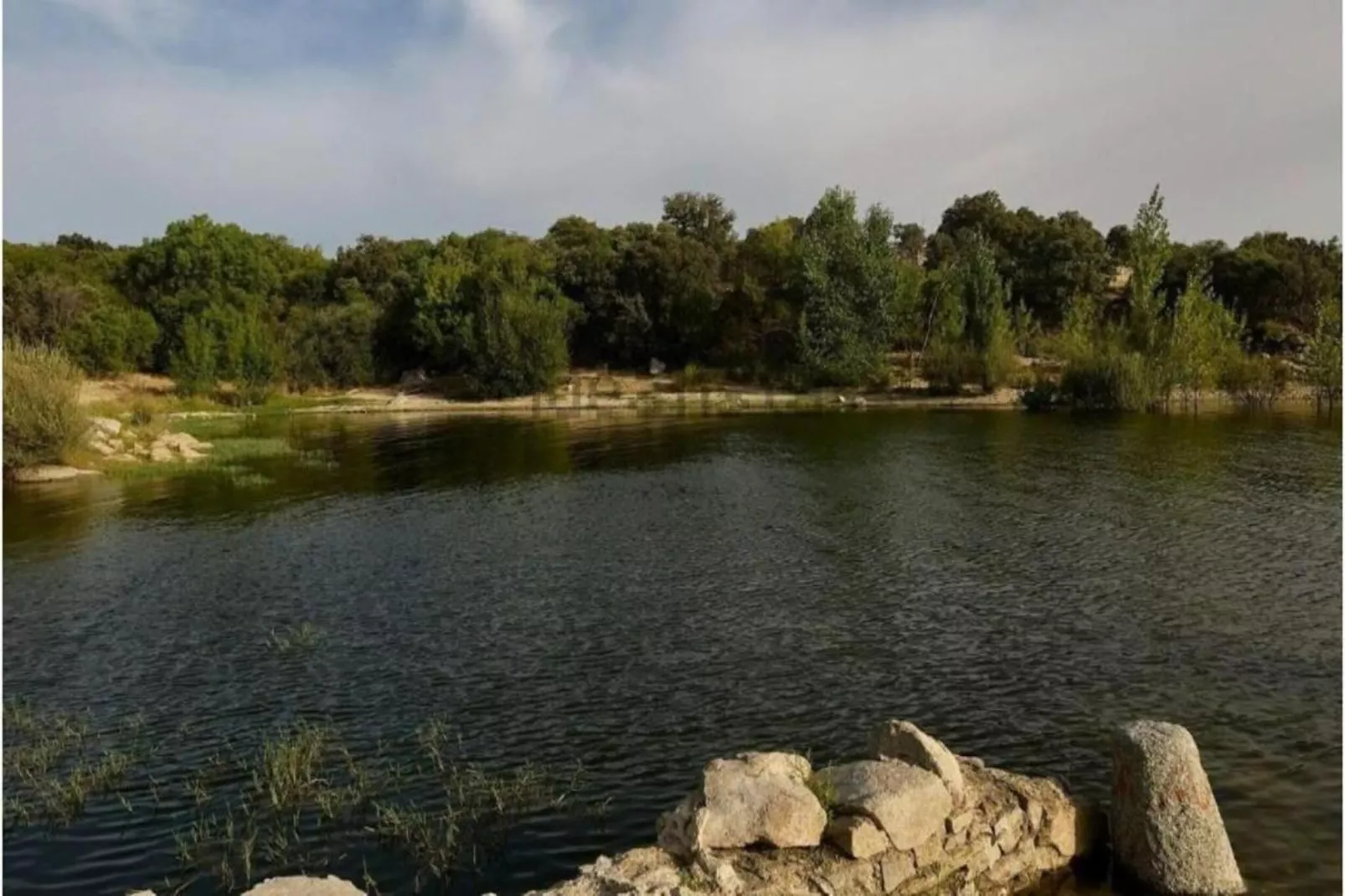 Gran jardín piscina y Spa - Galapagar II-Gebieden zomer 20km