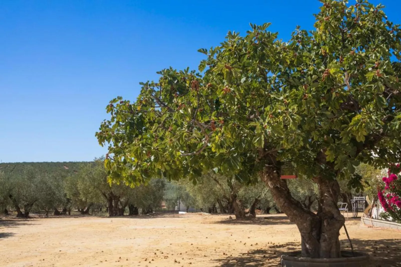 Piso confortable en Montilla-Gebieden zomer 5km