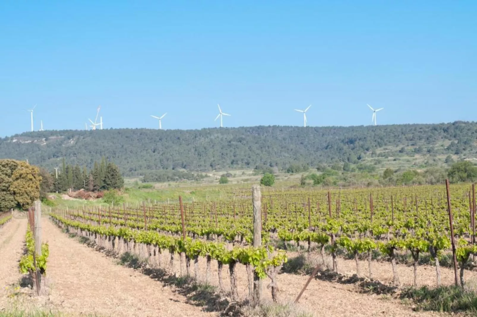 Montbrun-des-Corbières-Gebieden zomer 20km