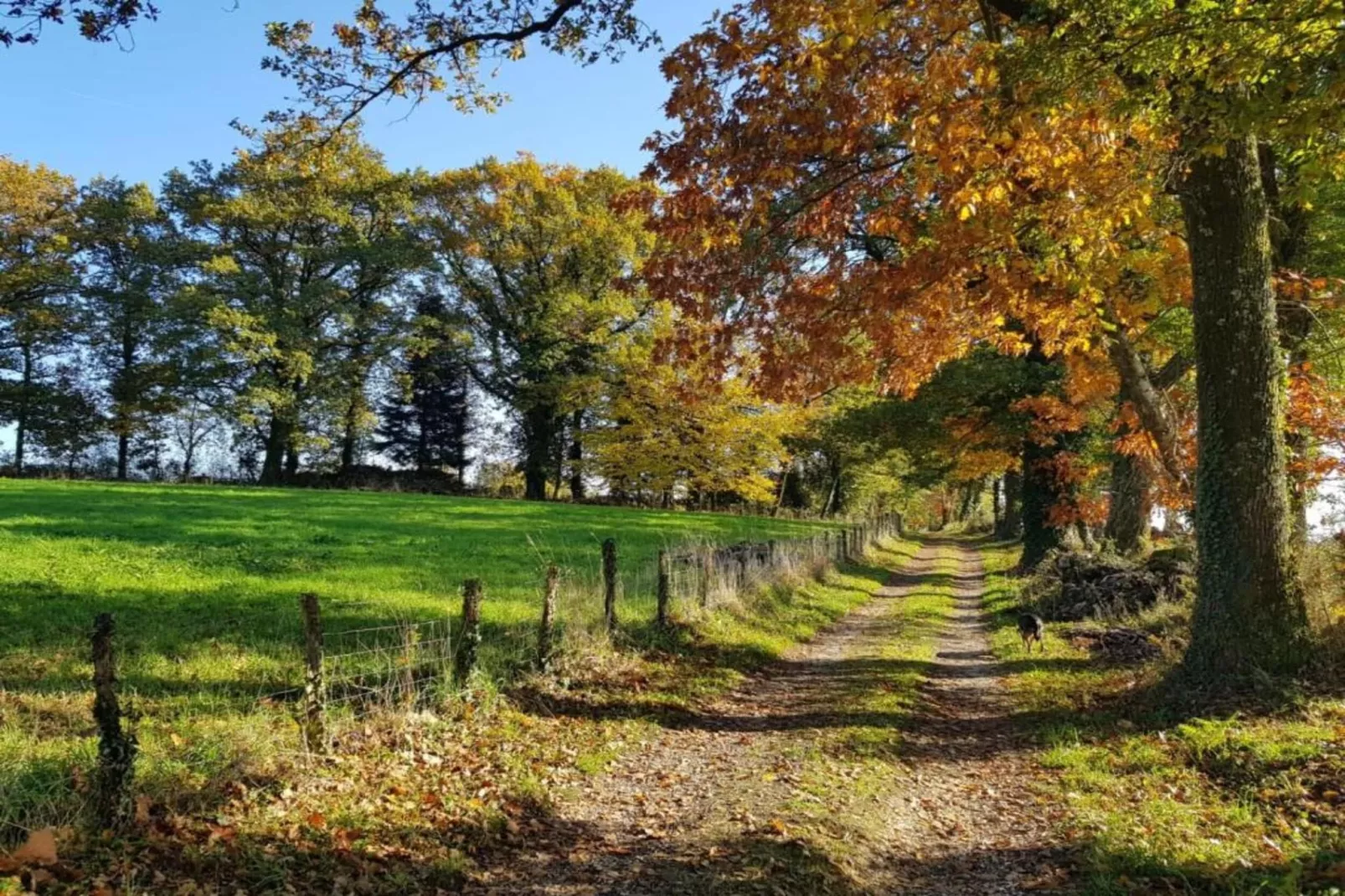 Domaine de Bellac 32P-Gebieden zomer 20km