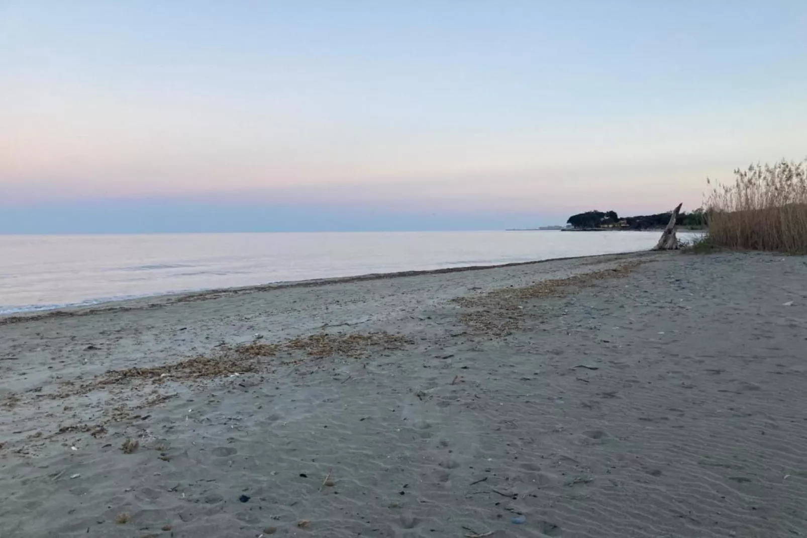 Atlantide-Gebieden zomer 1km