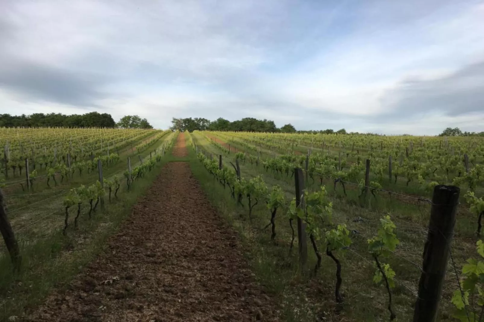 Circaud-Gebieden zomer 20km