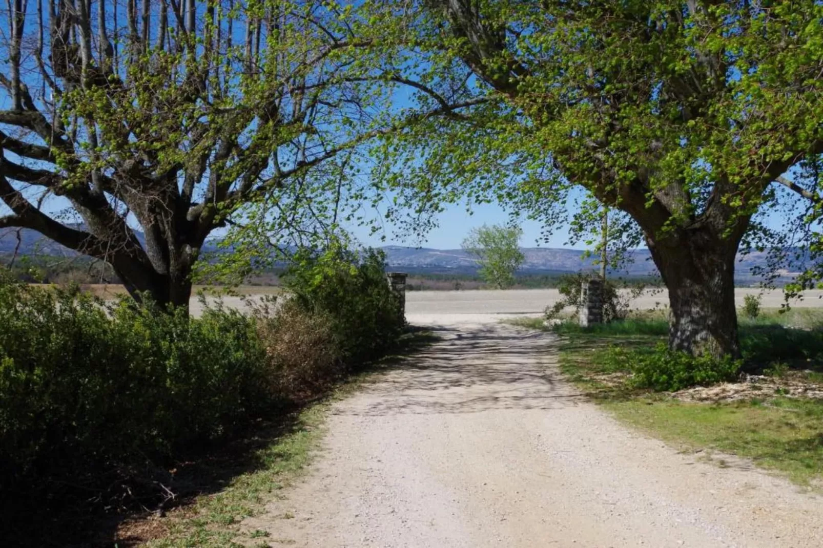 Maison de vacances - LUS-LA CROIX-HAUTE-Gebieden zomer 20km