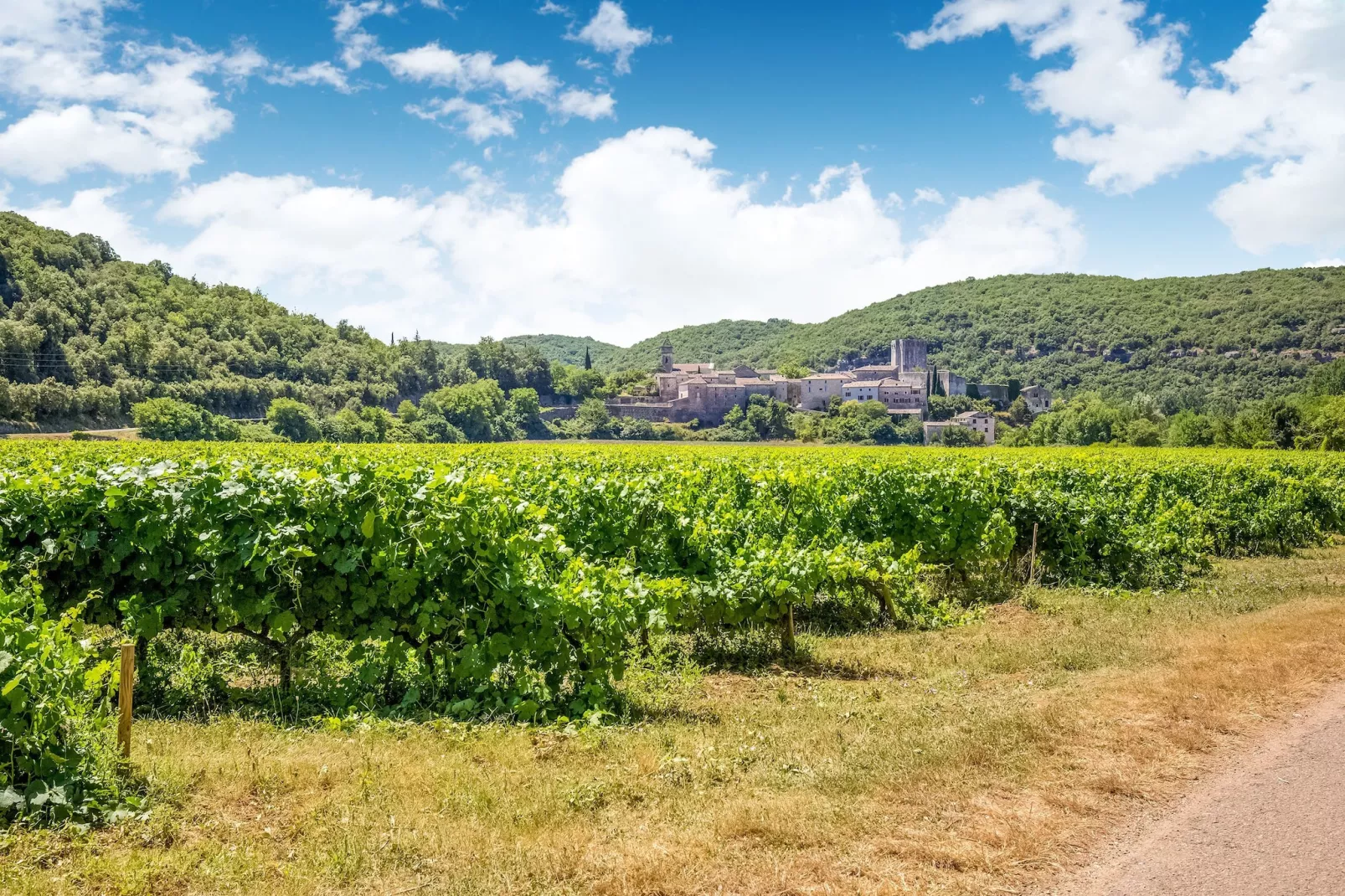 La Bise-Gebieden zomer 1km