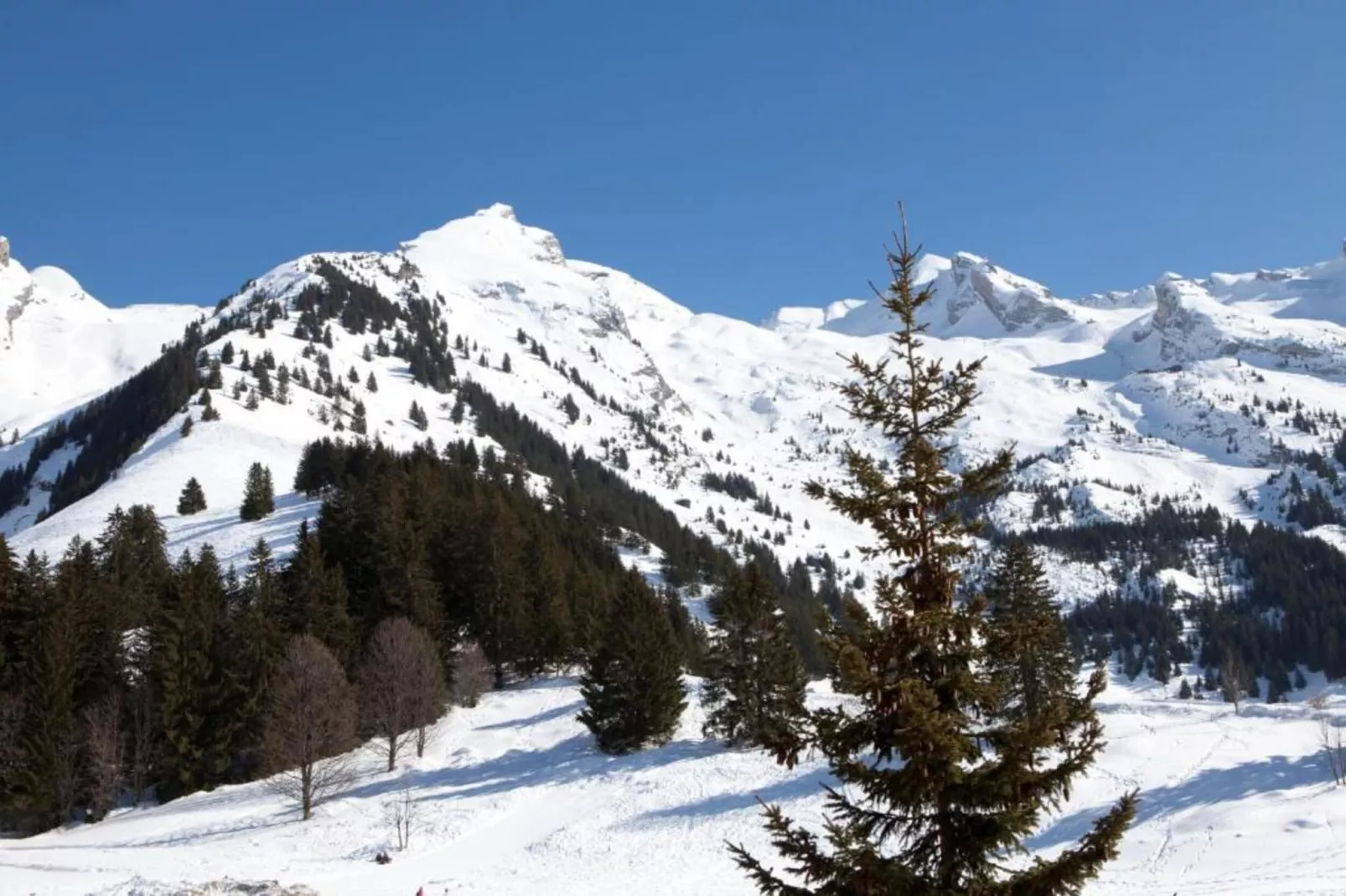 Résidence Prestige Mendi Alde 2-Gebied winter 20km