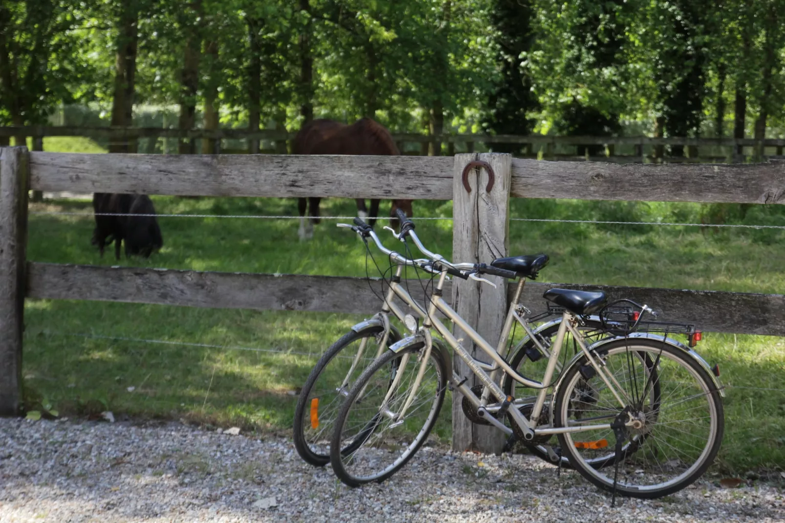 Gîte 10-Parkfaciliteiten