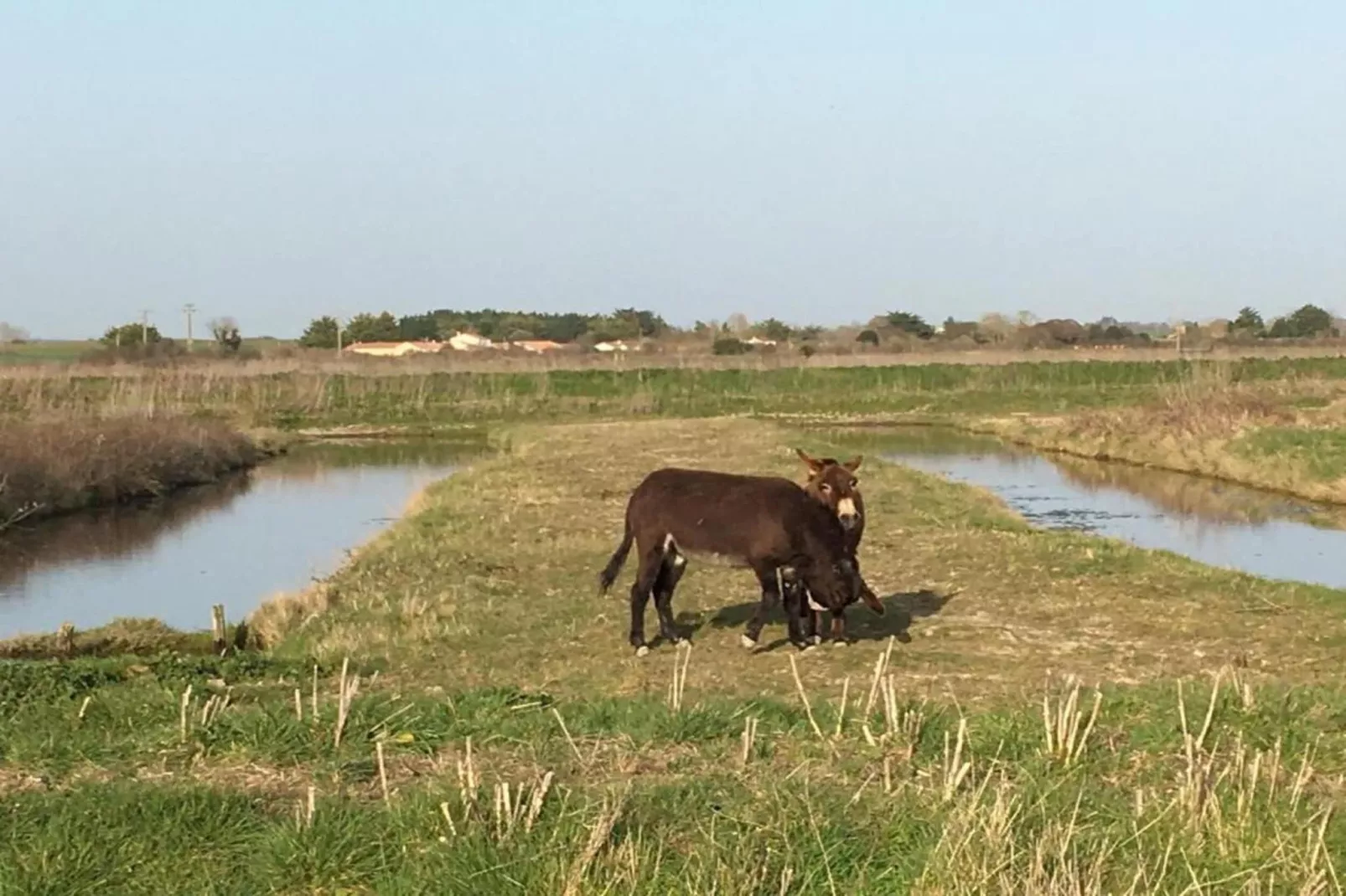 Résidence Le Village de la Mer 3-Gebieden zomer 5km