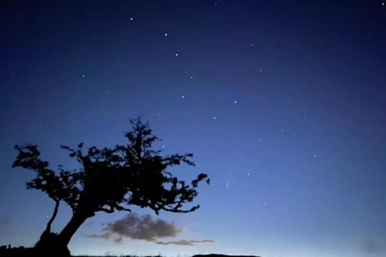 Higher House-Gebieden zomer 20km