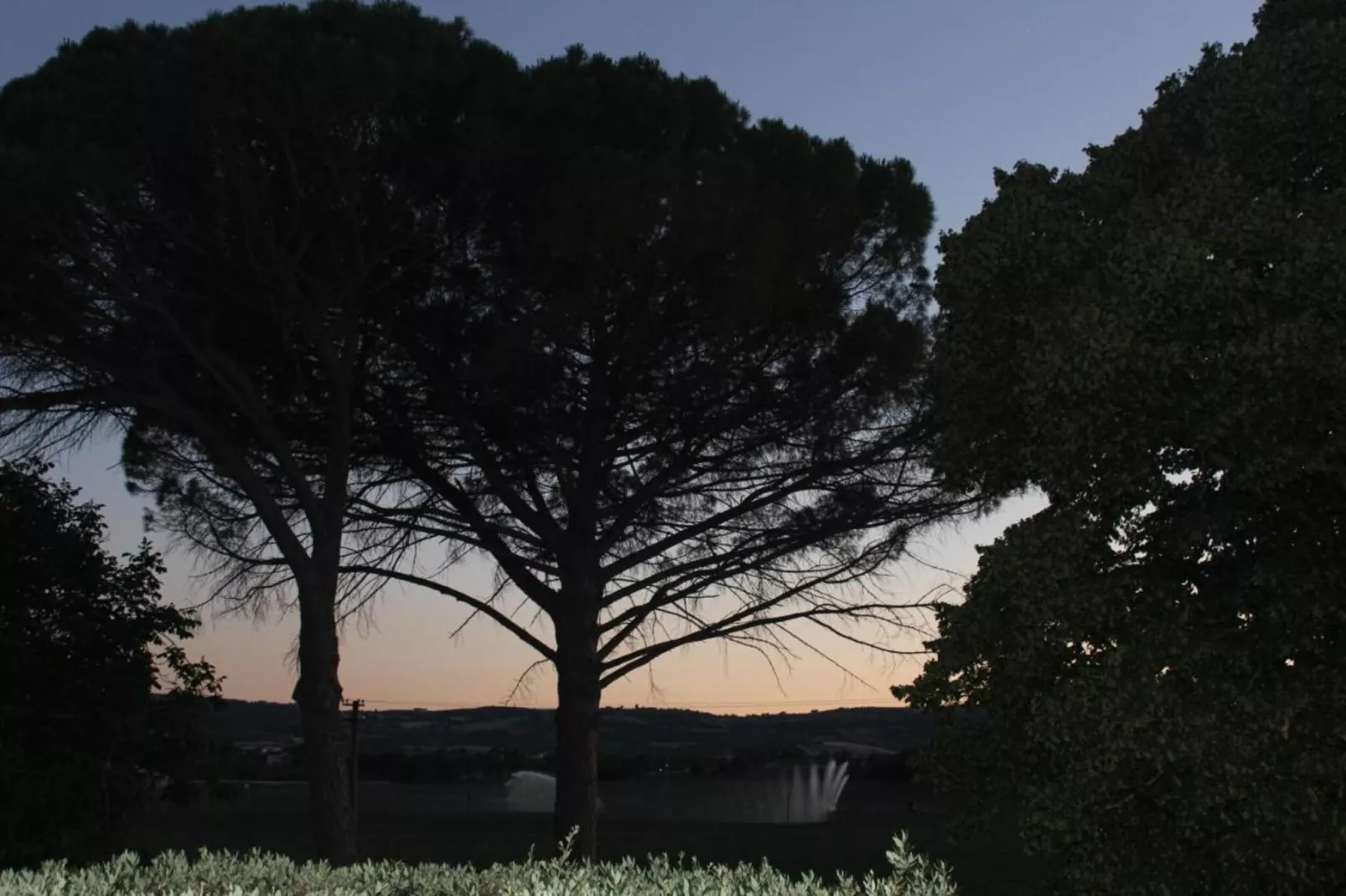 Salvia-Gebieden zomer 5km