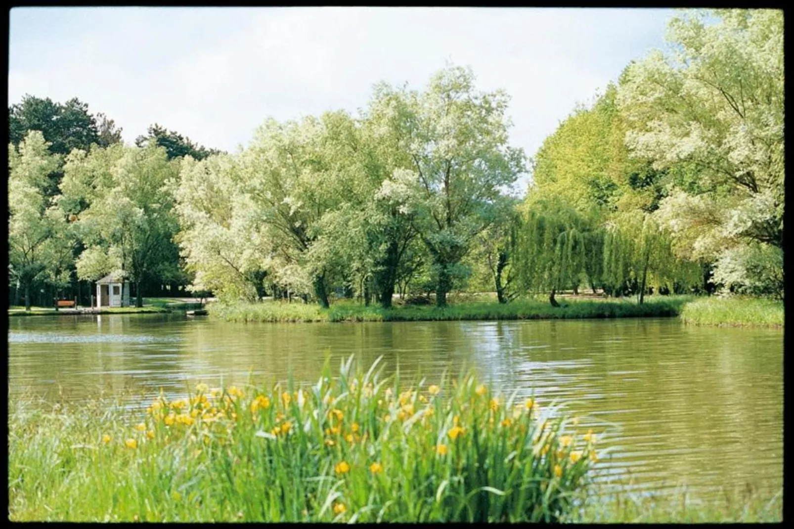 Priore-Gebieden zomer 20km