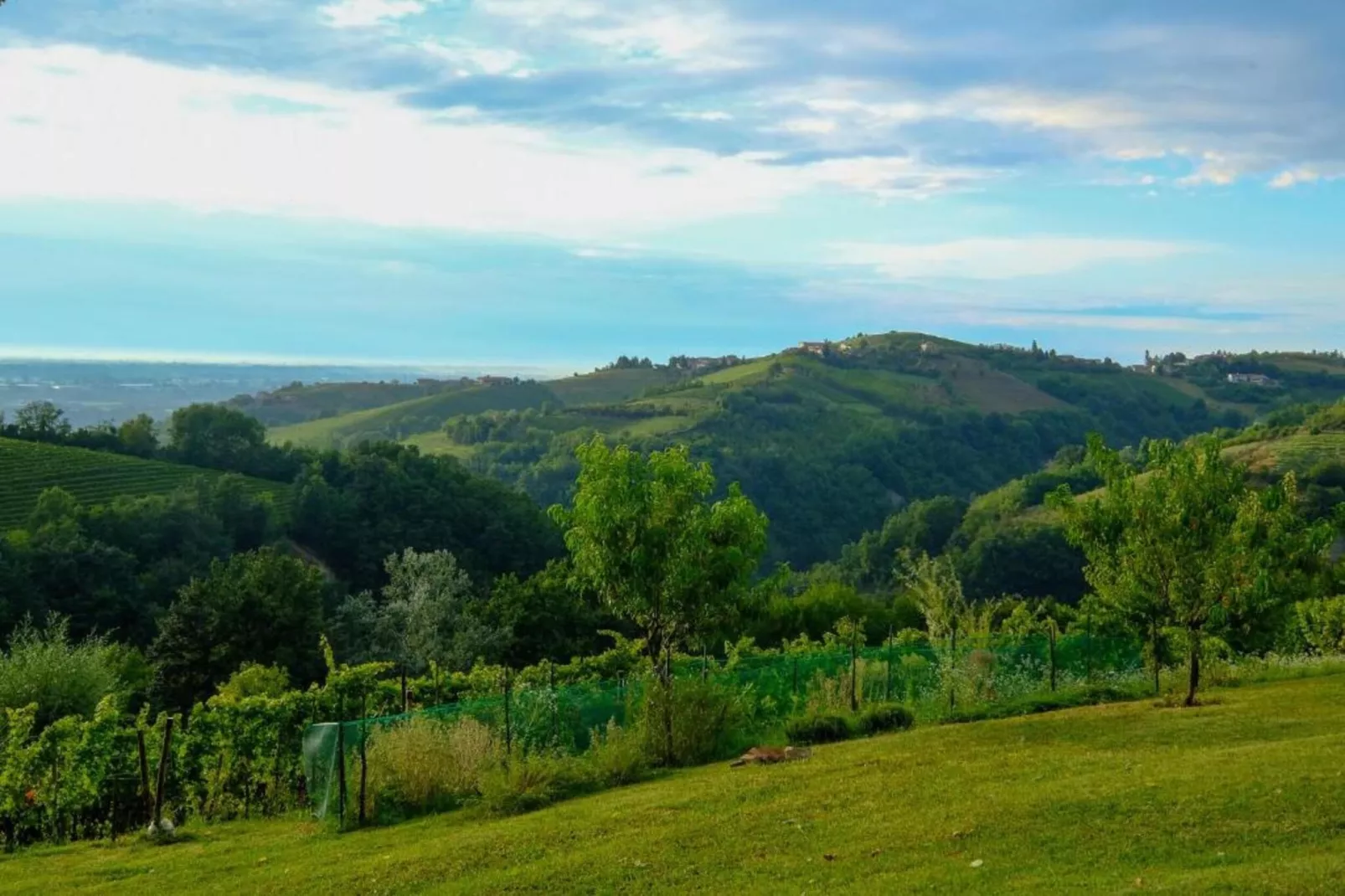 Barolo-Gebieden zomer 20km