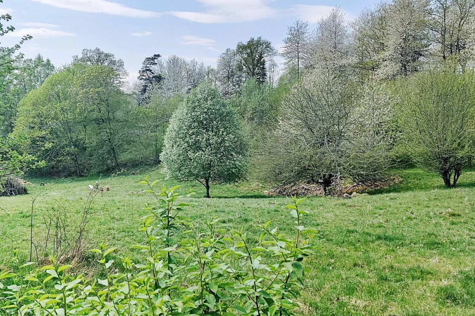 4 persoons vakantie huis in AXVALL-By Traum-Niet-getagd