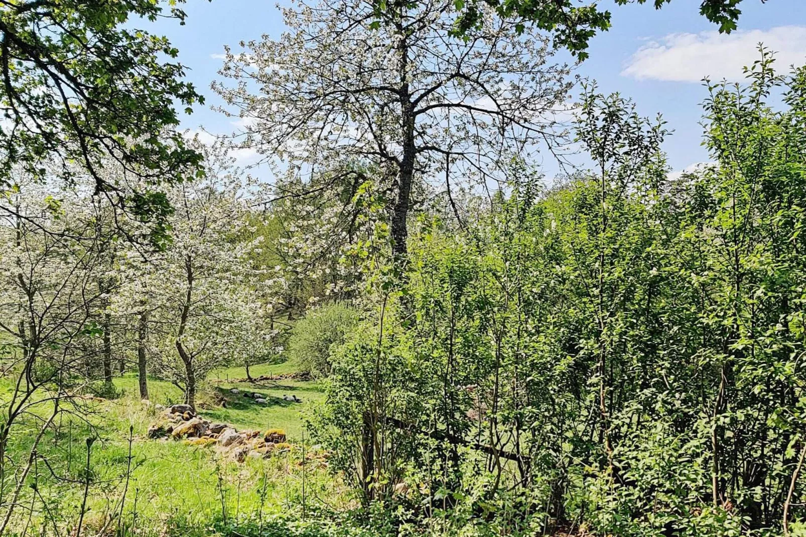 4 persoons vakantie huis in AXVALL-By Traum-Niet-getagd